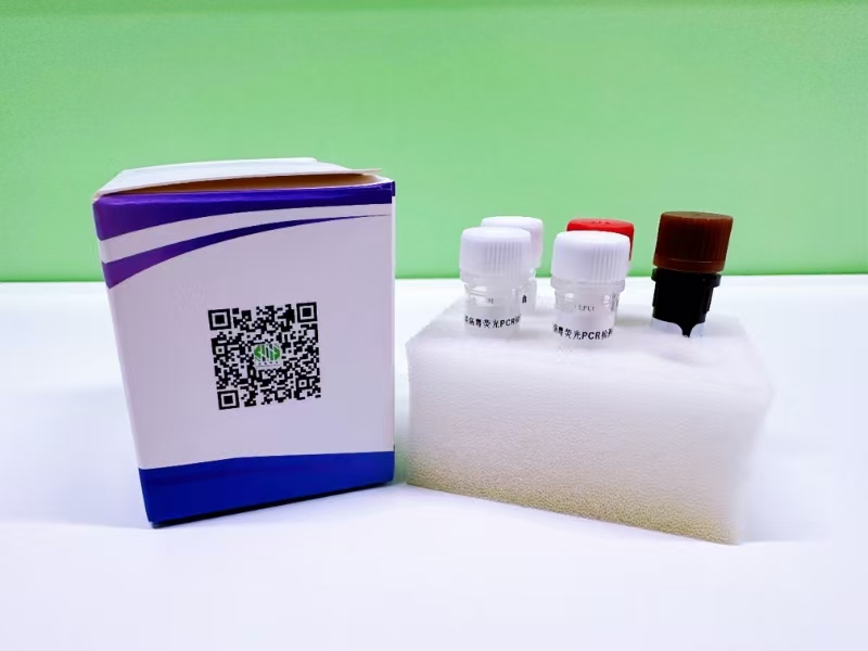 污水样品检测（检测试剂盒）